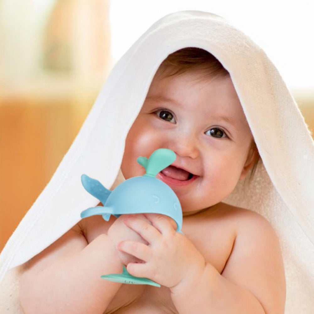 Baby Teething Toys