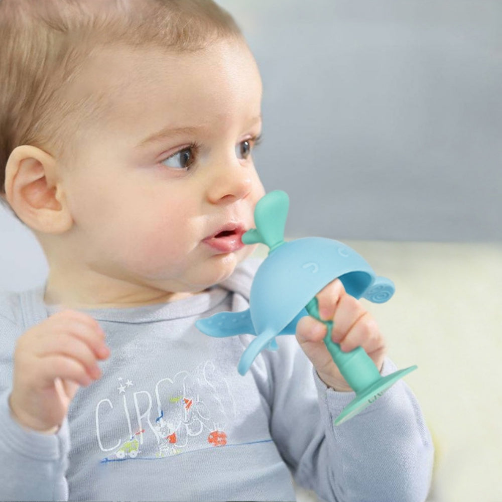 Baby Teething Toys