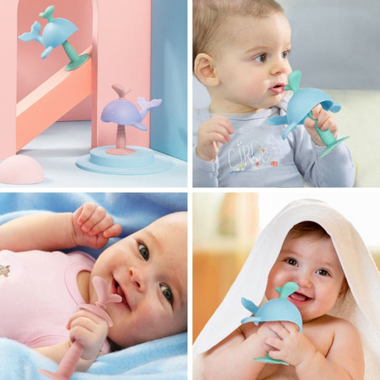 Baby Teething Toys