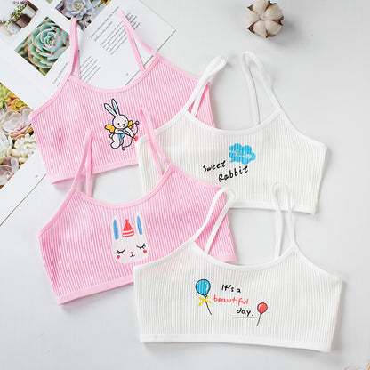 Bra Tube Top-4 Set